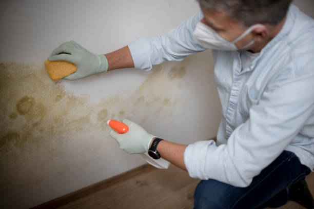 Benjamin, UT Mold Remediation Company